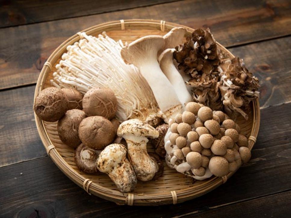 Mushroom